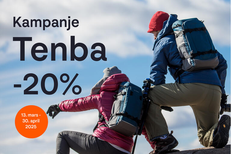 Tenba salg